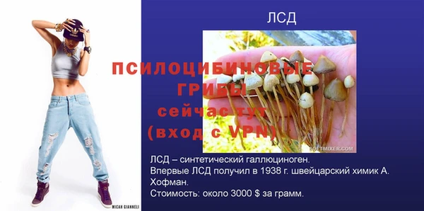 2c-b Богородицк