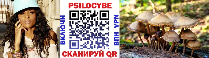 Купить закладки  Новосиль  Галлюциногенные грибы GOLDEN TEACHER 