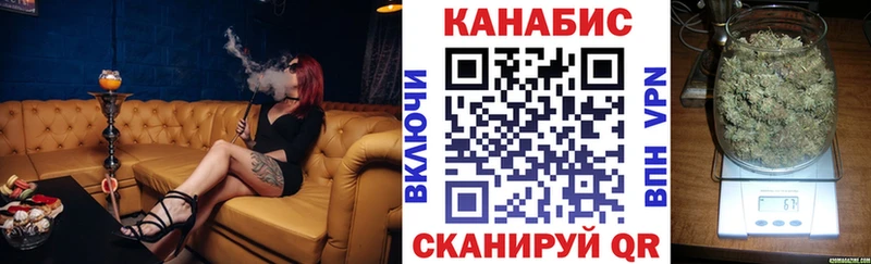 Купить где  Новосиль  Бошки Шишки SATIVA & INDICA 